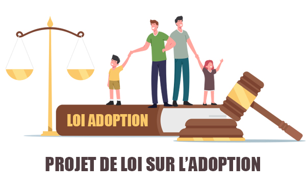 Les changements prévus par le projet de loi 2022 sur l'adoption ...